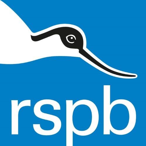Navigating the next phase of hybrid work with RSPB